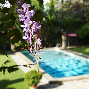 Park Palace **** Floransa